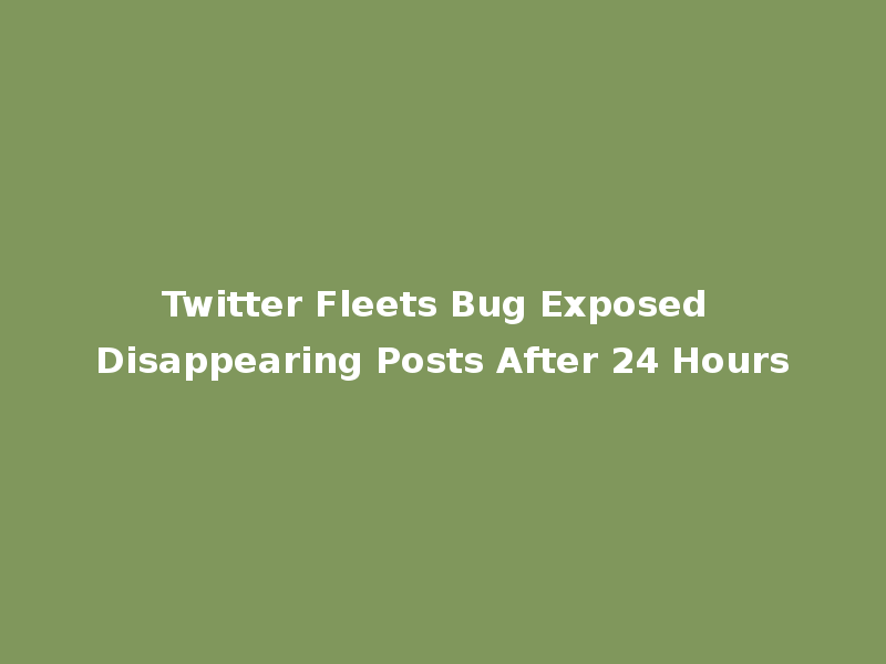 Twitter Fleets Bug Exposed Disappearing Posts After 24 Hours